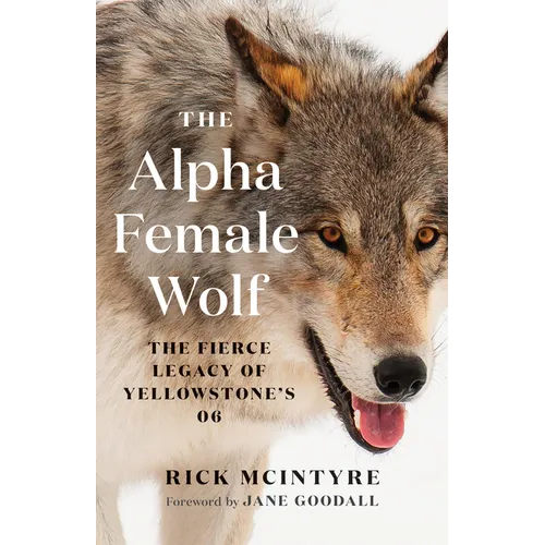 The Alpha Female Wolf: The Fierce Legacy of Yellowstone's 06 - Paperback book cover