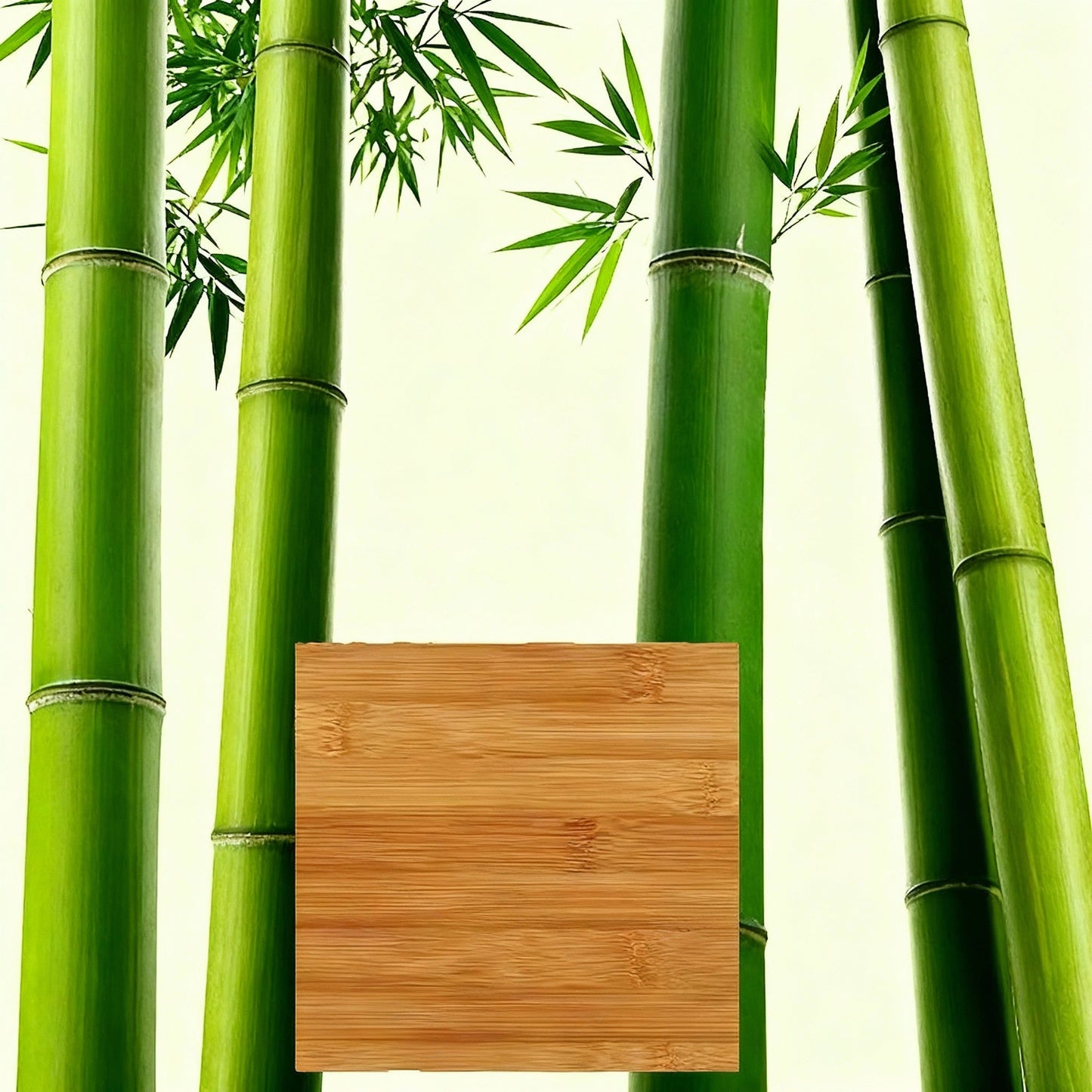 Bamboo stalks with a wooden plaque in the center on a light green background
