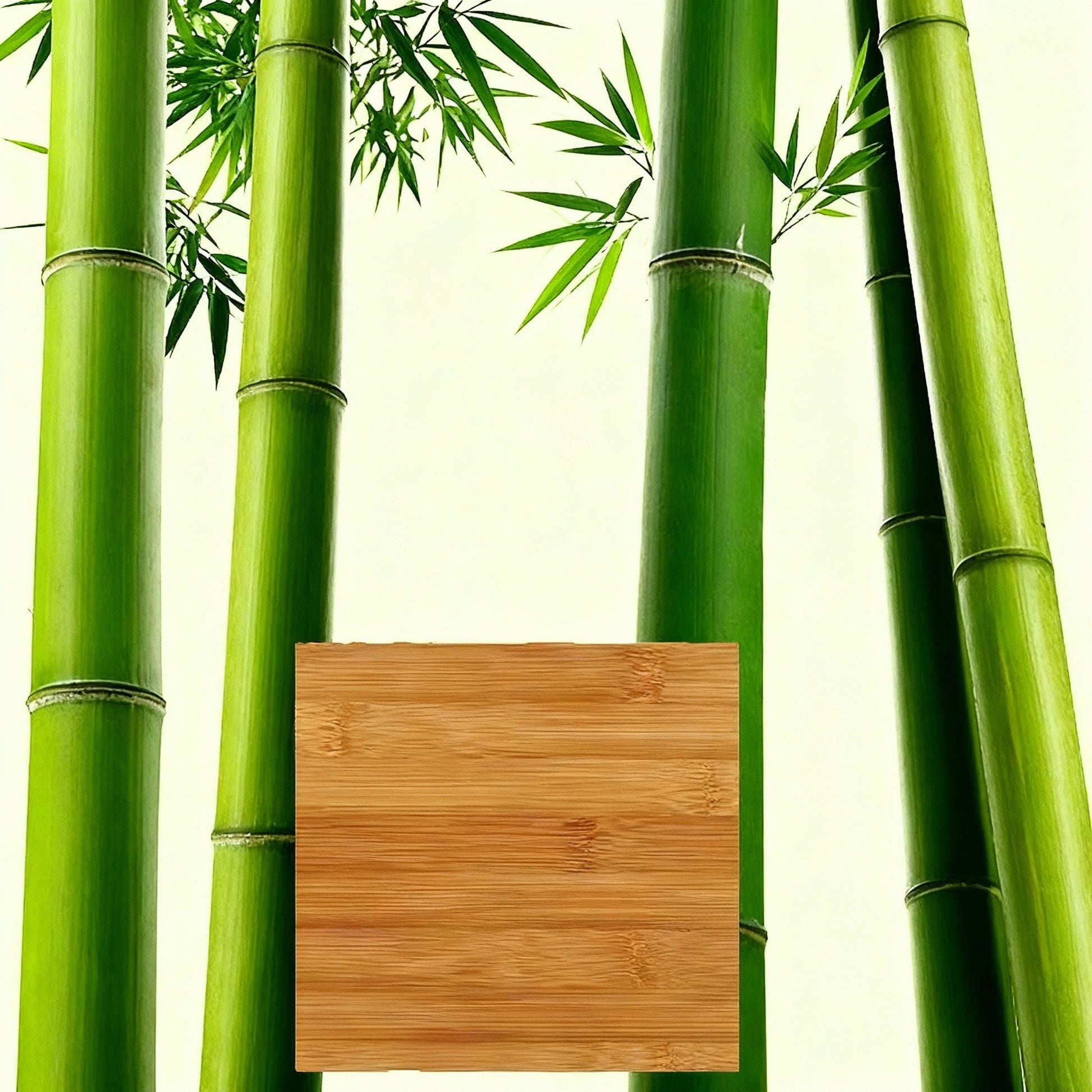 Bamboo stalks with a wooden plaque in the center on a light green background