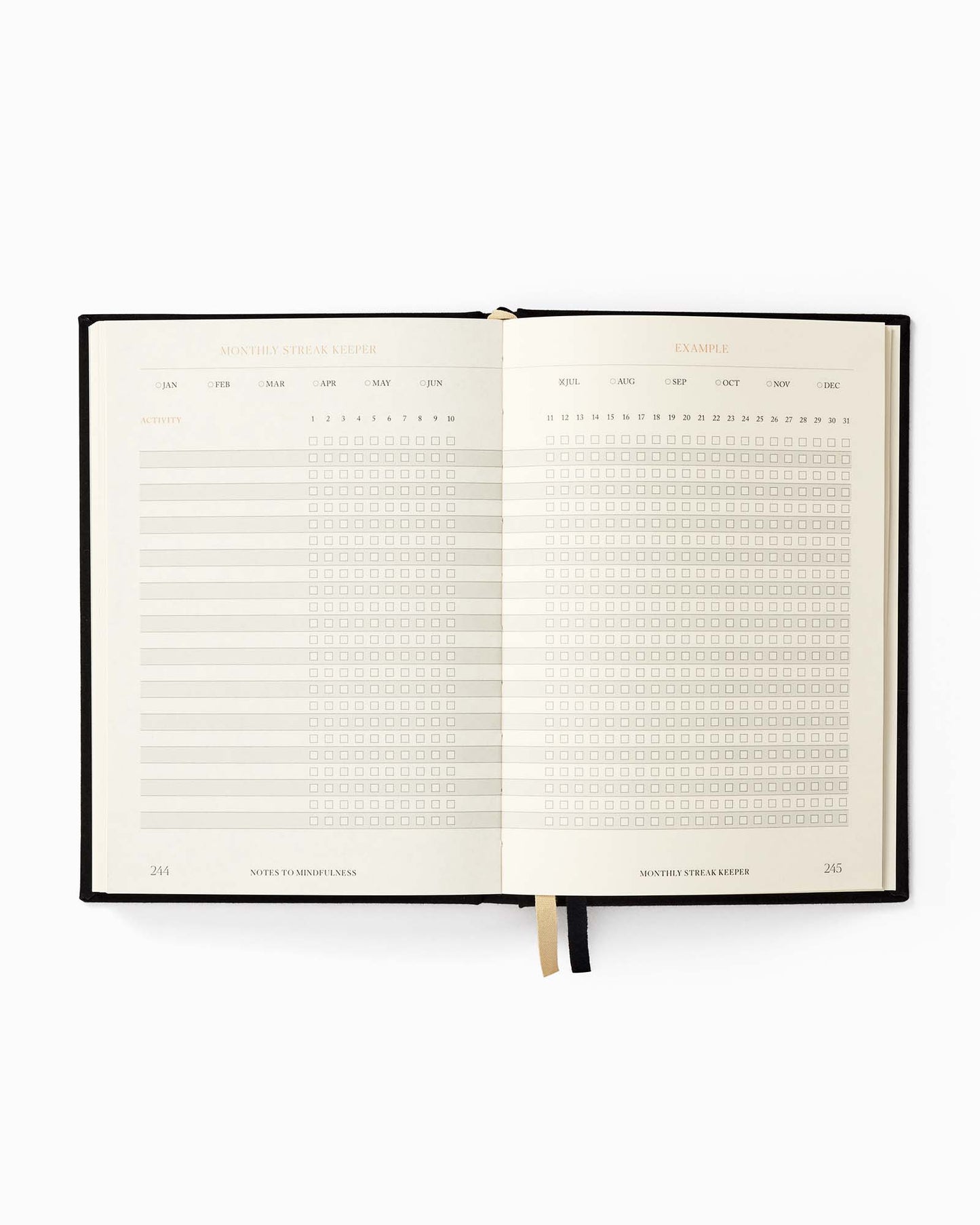 Open planner with daily and weekly schedules on a white background