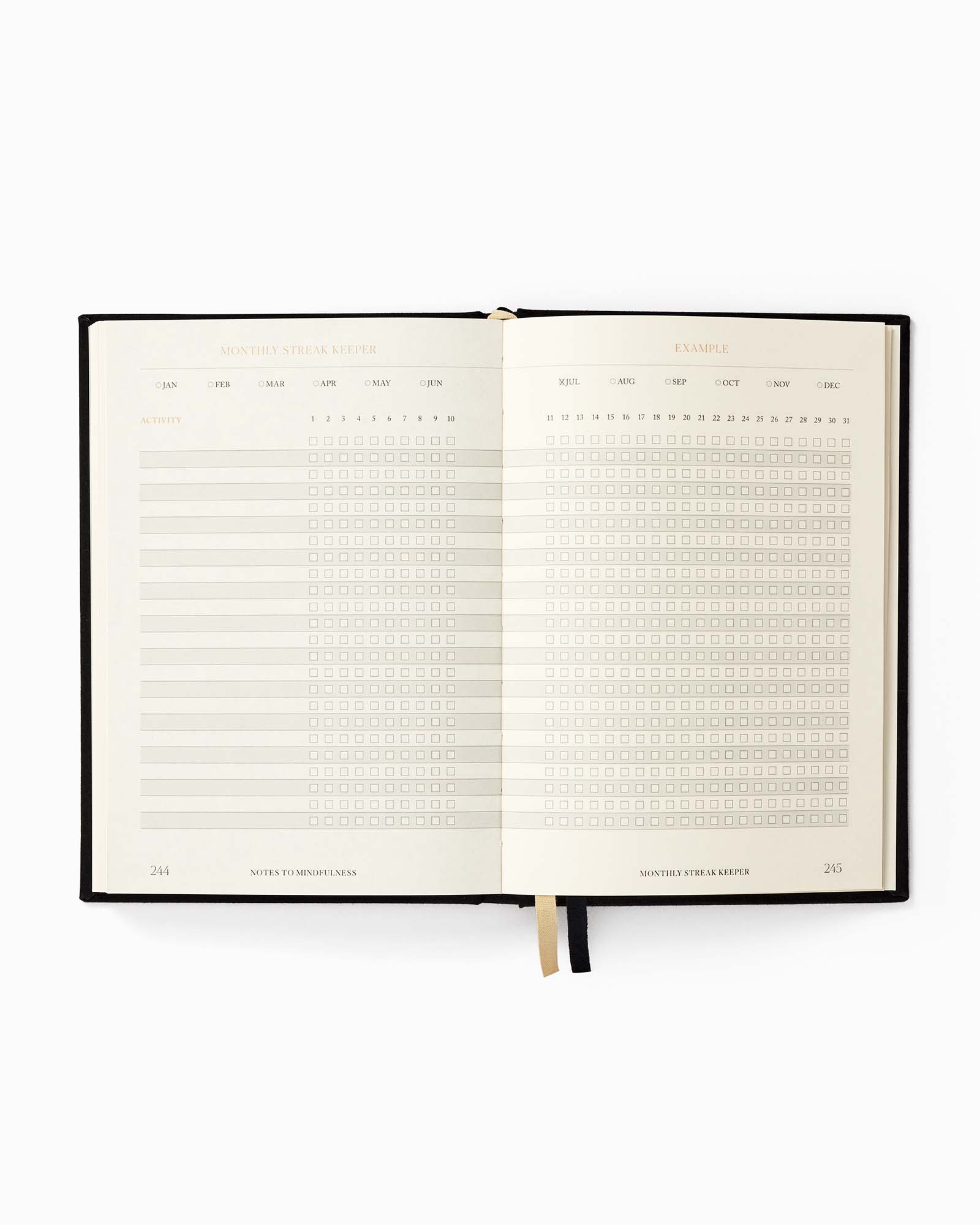 Open planner with daily and weekly schedules on a white background