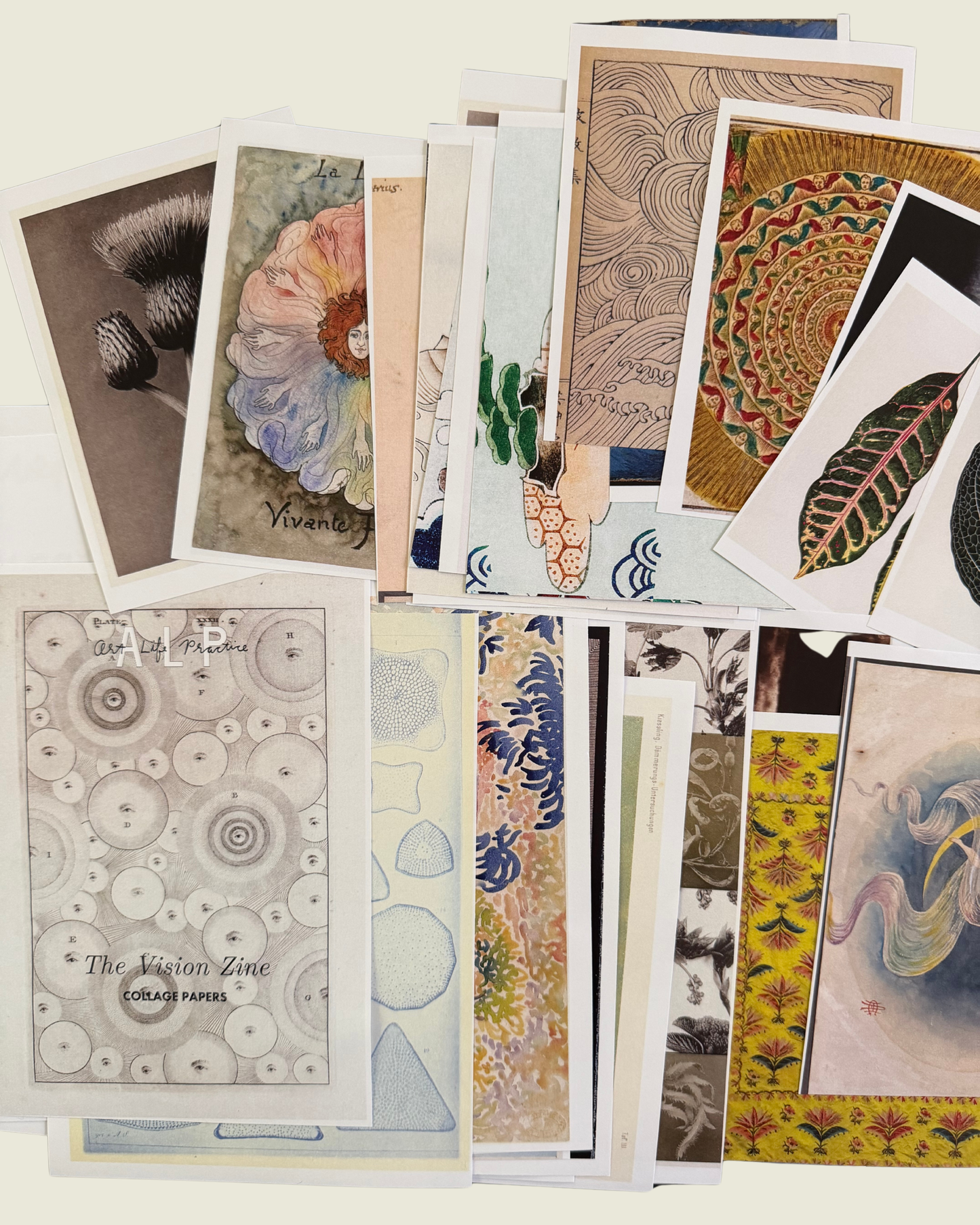 Collection of variously designed greeting cards on a white background