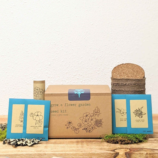 Seed kit with cardboard box, seed packets, and soil blocks on a wooden surface.
