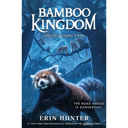 Bamboo Kingdom #5: The Lightning Path - Hardcover book cover